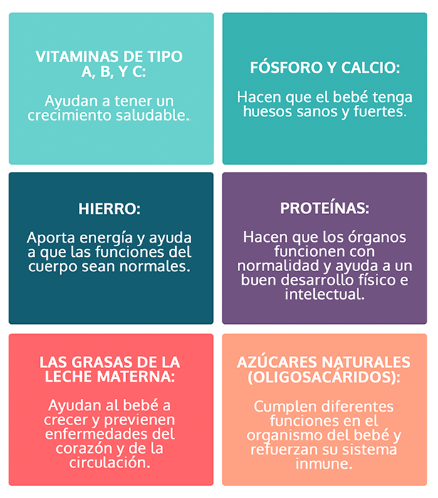 Nutrientes y beneficios