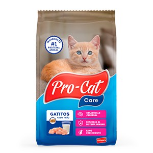 PROCAT-CARE_GATITOS