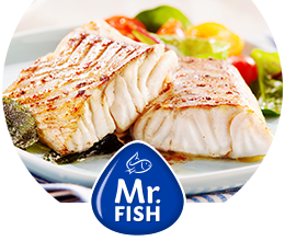 mr-fish